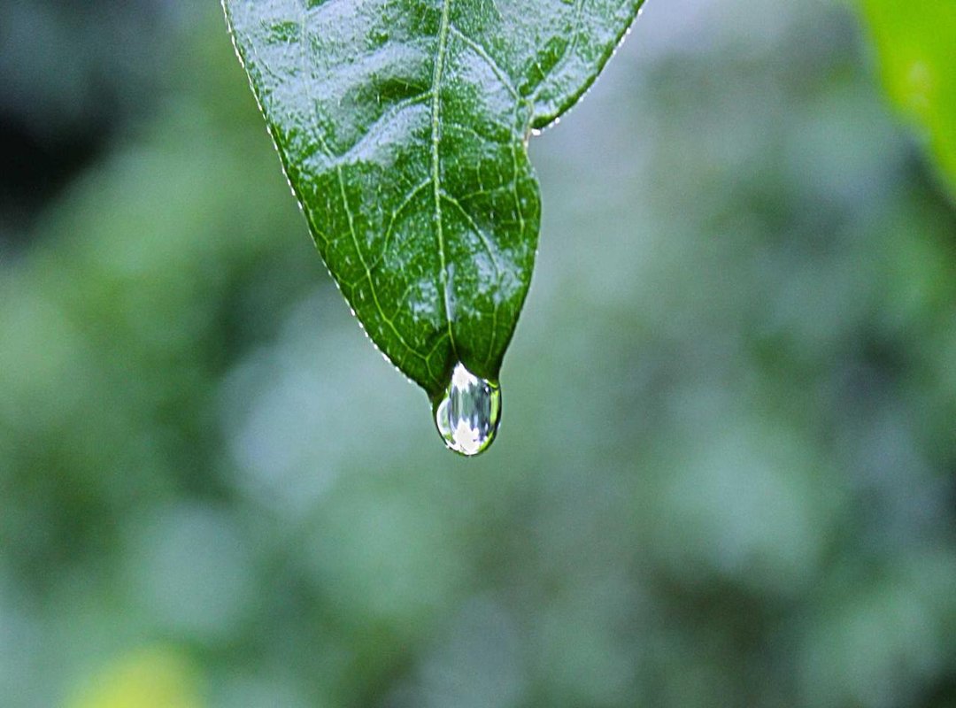 From Beginner to Pro: 5 Quick Tips to Win Your Next Game