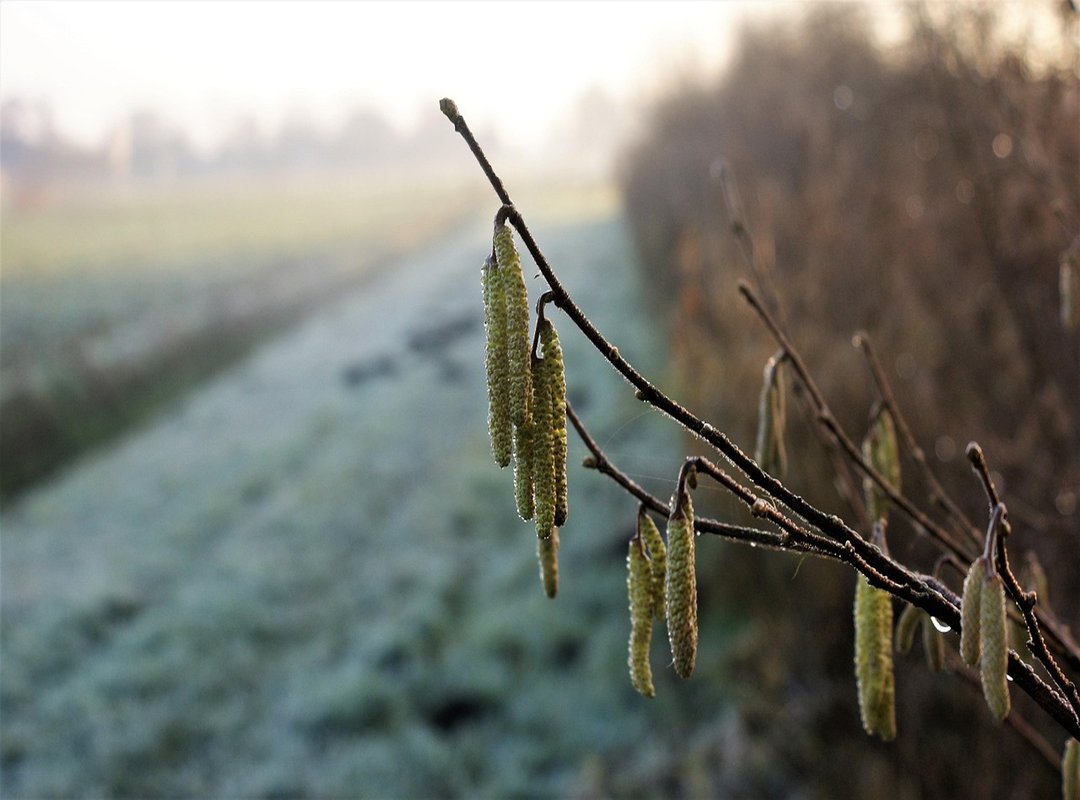 Understanding Different Types of Communities You Might Find