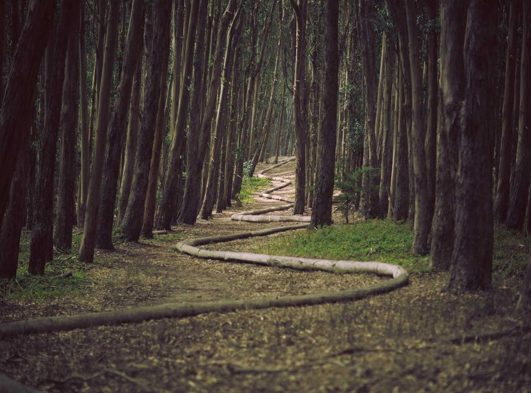 From Screen to Paper: A Step-by-Step Printing Guide