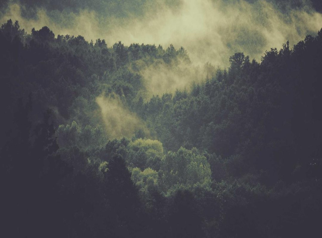 Who Should Use Inveragil (And Why It Works)